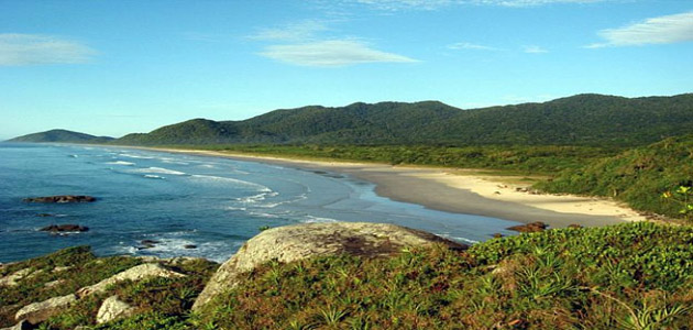 Nucle Pereirinha Cananeia