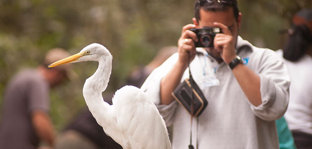 Parque das Aves